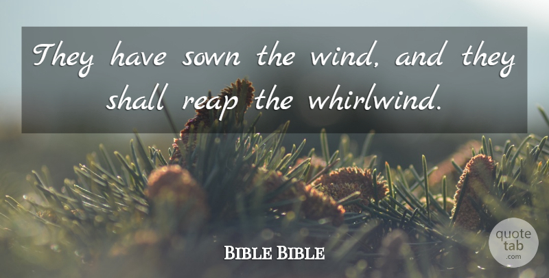Bible Bible Quote About Reap, Shall, Sown: They Have Sown The Wind...