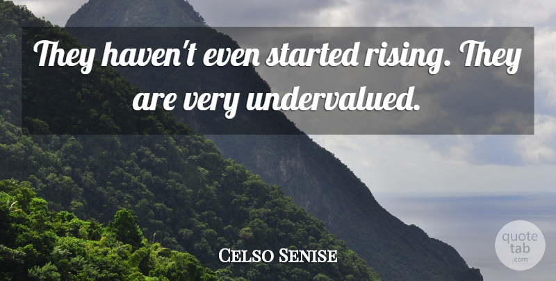Celso Senise Quote About undefined: They Havent Even Started Rising...