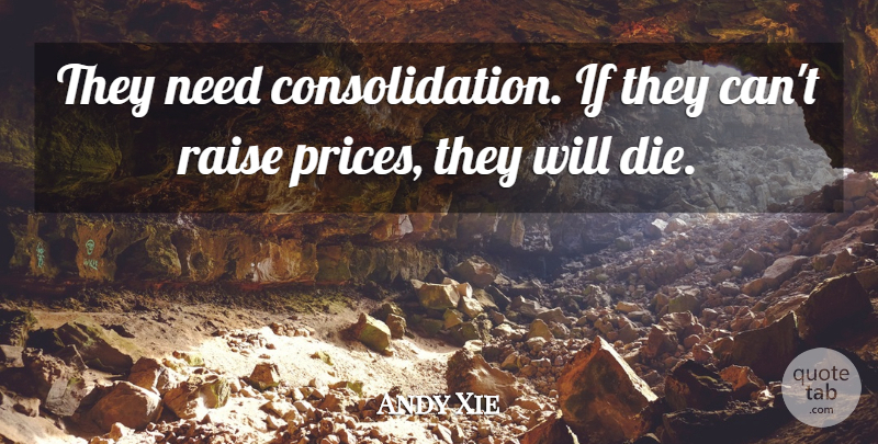 Andy Xie Quote About Raise: They Need Consolidation If They...