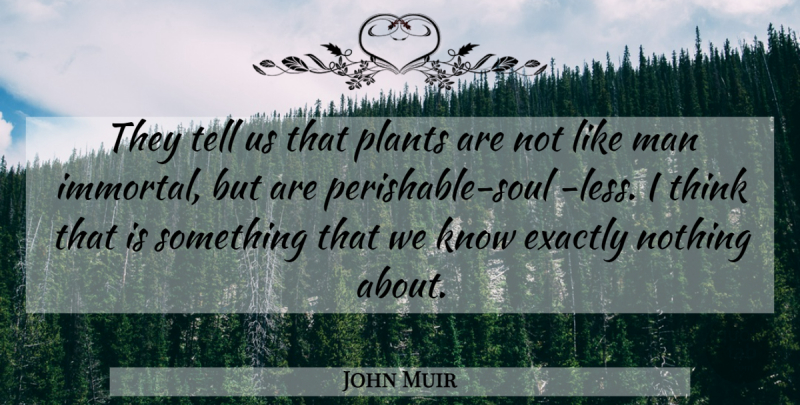 John Muir Quote About Men, Thinking, Soul: They Tell Us That Plants...