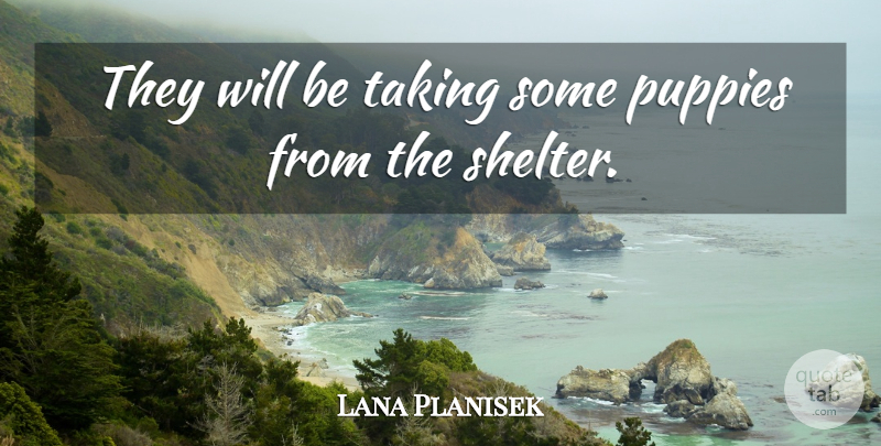 Lana Planisek Quote About Puppies, Taking: They Will Be Taking Some...