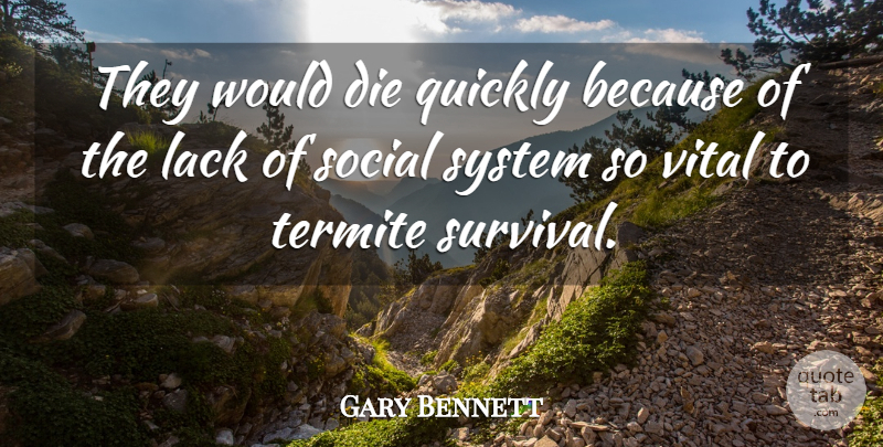 Gary Bennett Quote About Die, Lack, Quickly, Social, System: They Would Die Quickly Because...
