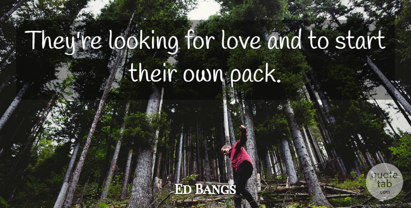 Ed Bangs Quote About Looking, Love, Start: Theyre Looking For Love And...