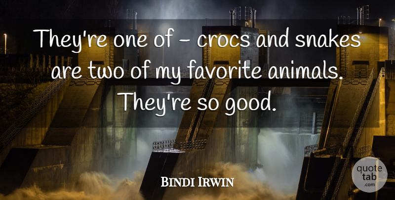 Bindi Irwin Quote About Favorite, Good: Theyre One Of Crocs And...
