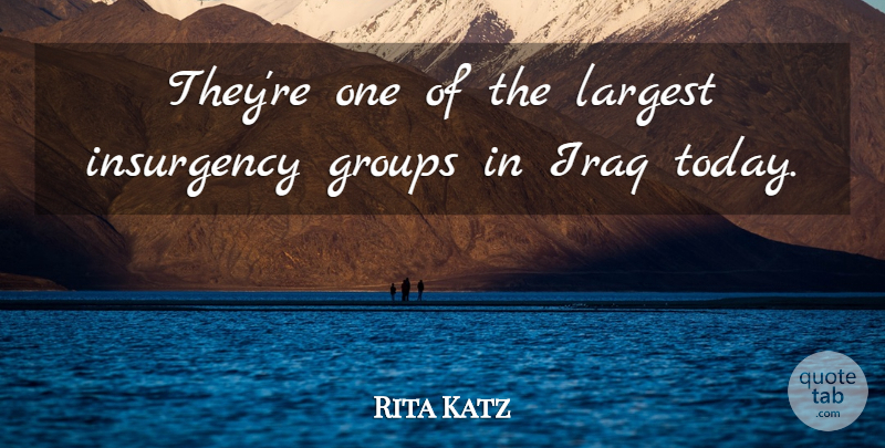 Rita Katz Quote About Groups, Insurgency, Iraq, Largest: Theyre One Of The Largest...