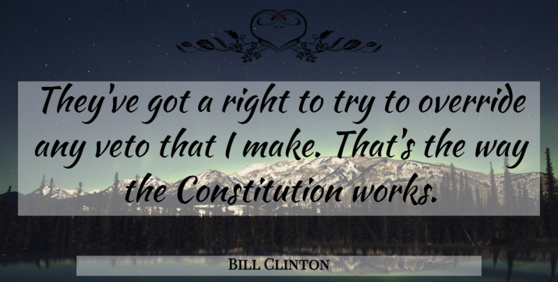 Bill Clinton Quote About Constitution, Veto: Theyve Got A Right To...