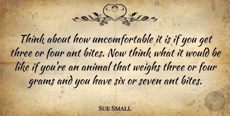 Sue Small Quote About Animal, Ant, Four, Seven, Six: Think About How Uncomfortable It...