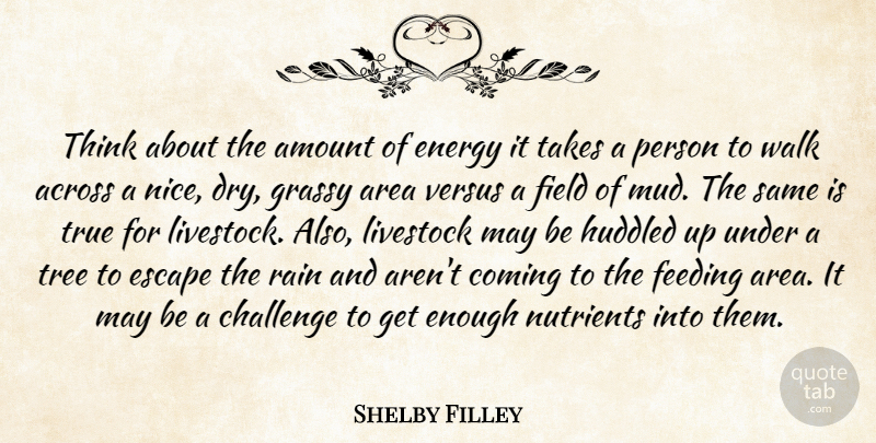 Shelby Filley Quote About Across, Amount, Area, Challenge, Coming: Think About The Amount Of...