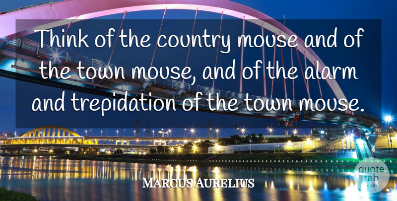 Marcus Aurelius Quote About Country, Thinking, Towns: Think Of The Country Mouse...