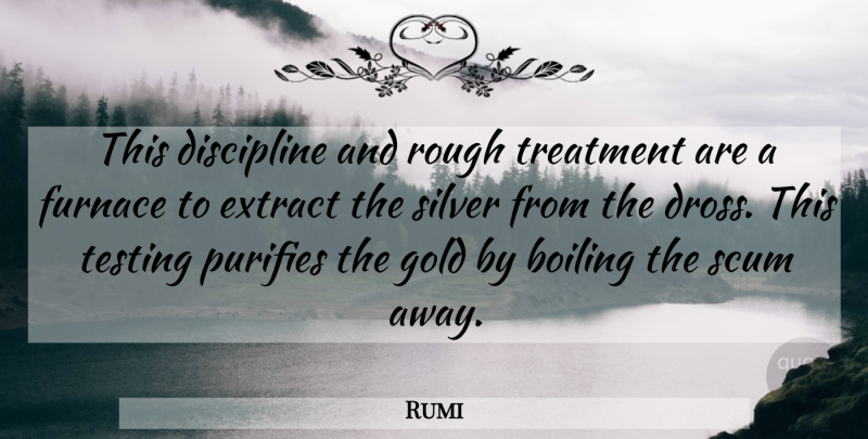 Rumi Quote About Courage, Discipline, Gold: This Discipline And Rough Treatment...
