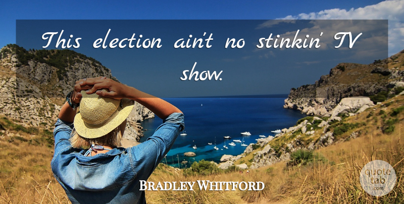 Bradley Whitford Quote About Tv Shows, Tvs, Election: This Election Aint No Stinkin...