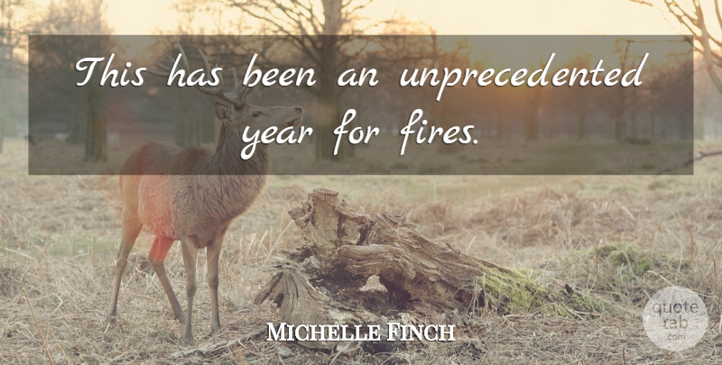 Michelle Finch Quote About Year: This Has Been An Unprecedented...