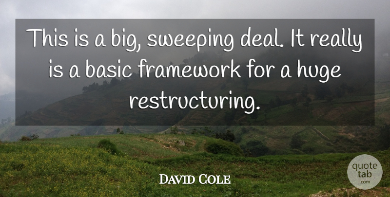 David Cole Quote About Basic, Framework, Huge, Sweeping: This Is A Big Sweeping...