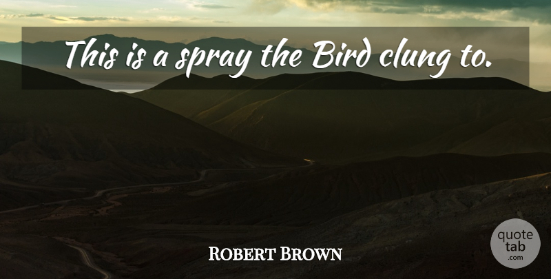Robert Brown Quote About Bird, Spray: This Is A Spray The...