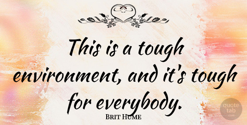 Brit Hume Quote About Literature, Tough, Environment: This Is A Tough Environment...