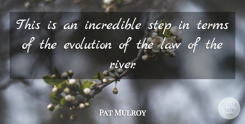 Pat Mulroy Quote About Evolution, Incredible, Law, Step, Terms: This Is An Incredible Step...