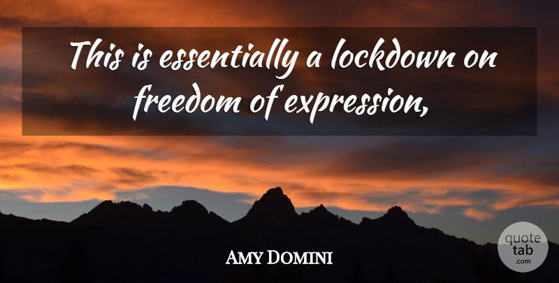 Amy Domini Quote About Expression, Freedom: This Is Essentially A Lockdown...