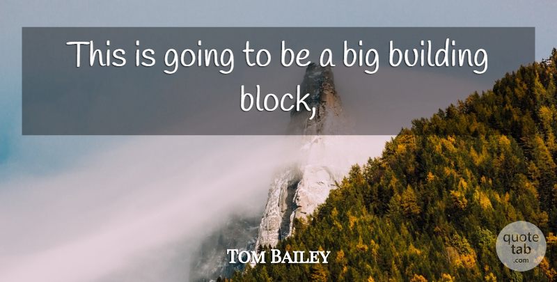 Tom Bailey Quote About Building: This Is Going To Be...