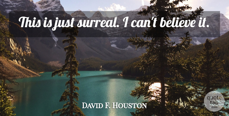 David F. Houston Quote About Believe: This Is Just Surreal I...