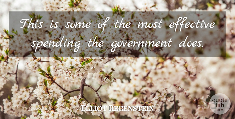 Elliot Regenstein Quote About Effective, Government, Spending: This Is Some Of The...