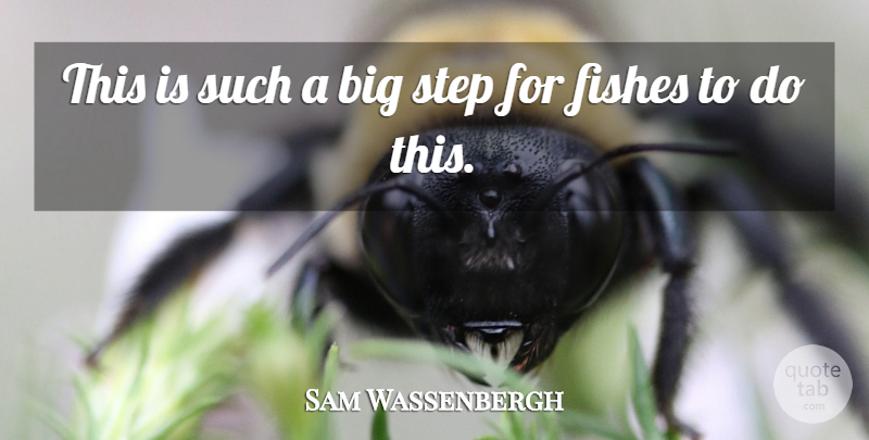 Sam Wassenbergh Quote About Fishes, Step: This Is Such A Big...