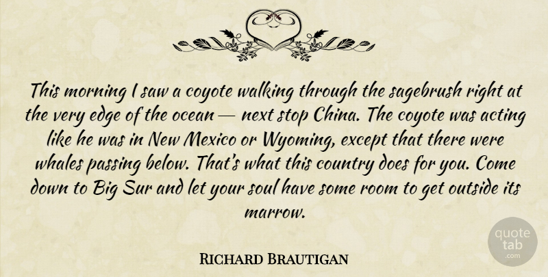 Richard Brautigan Quote About Country, Morning, Ocean: This Morning I Saw A...