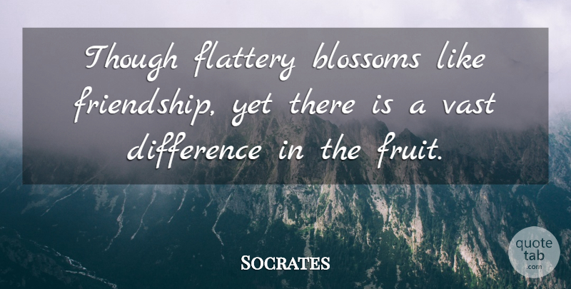 Socrates Quote About Differences, Fruit, Flattery: Though Flattery Blossoms Like Friendship...