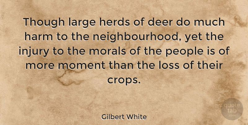 Gilbert White Quote About Deer, English Scientist, Harm, Herds, Injury: Though Large Herds Of Deer...