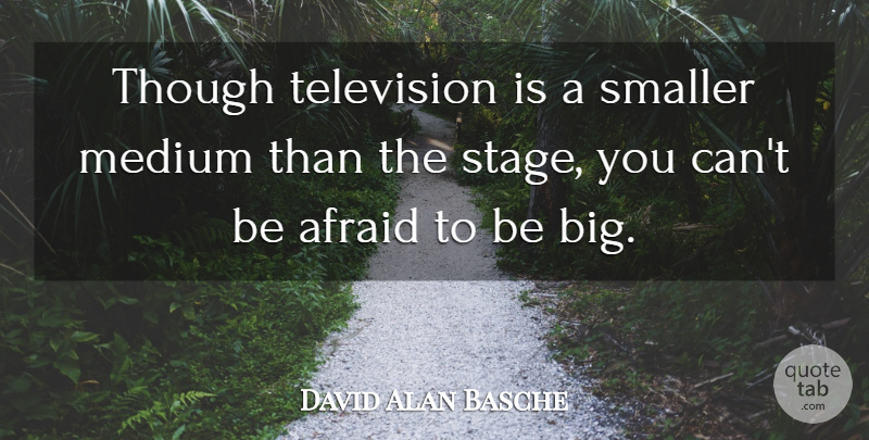 David Alan Basche Quote About Medium, Smaller, Though: Though Television Is A Smaller...