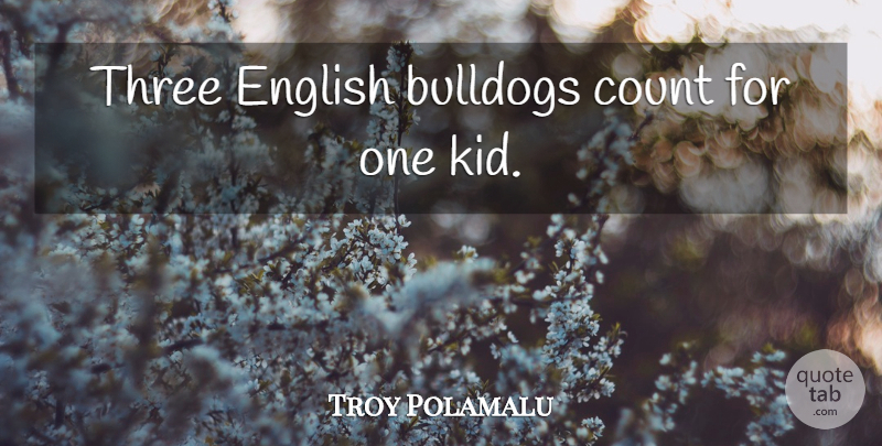Troy Polamalu Quote About Kids, Bulldogs, Three: Three English Bulldogs Count For...
