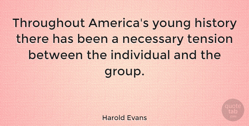 Harold Evans Quote About America, Groups, Individual: Throughout Americas Young History There...