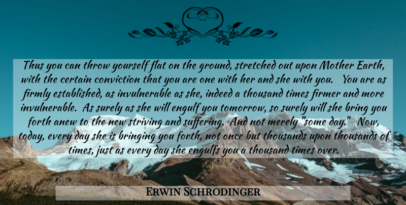 Erwin Schrodinger Quote About Mother, Suffering, Earth: Thus You Can Throw Yourself...