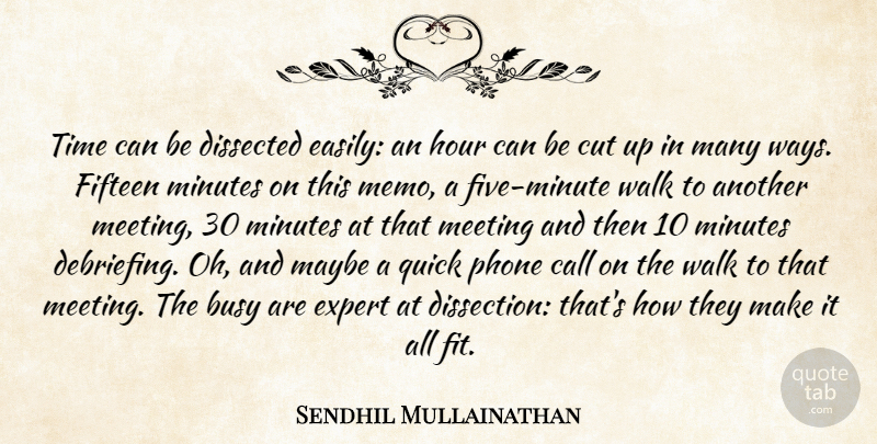 Sendhil Mullainathan Quote About Call, Cut, Dissected, Expert, Fifteen: Time Can Be Dissected Easily...