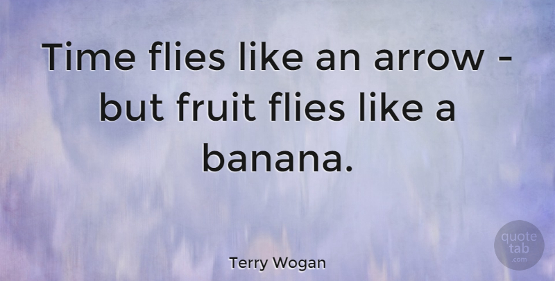 Terry Wogan Quote About Arrow, Flies, Time: Time Flies Like An Arrow...