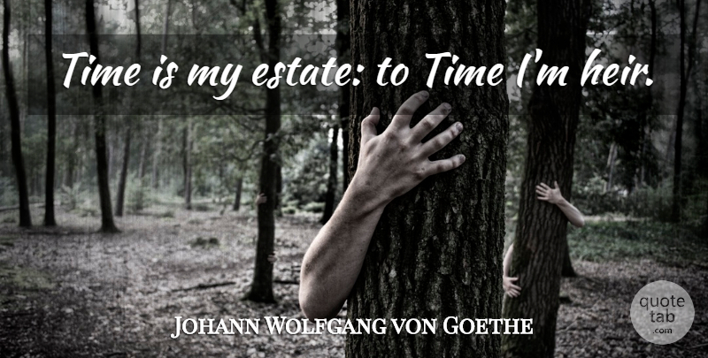 Johann Wolfgang von Goethe Quote About Heirs, Estates: Time Is My Estate To...