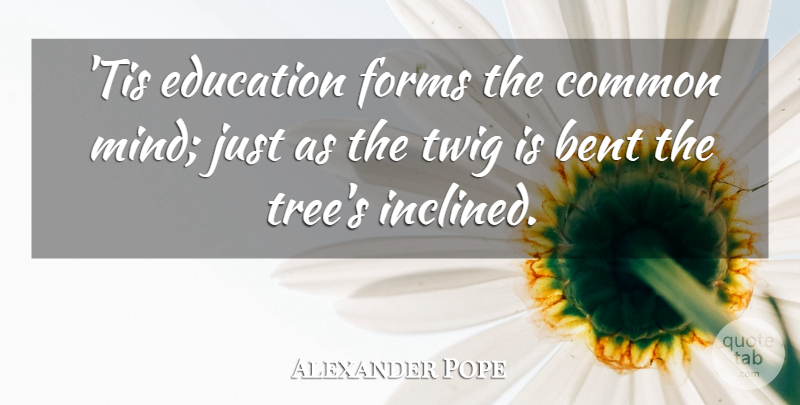 Alexander Pope Quote About Common, Education, Forms, Twig: Tis Education Forms The Common...
