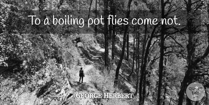George Herbert Quote About Pot, Boiling: To A Boiling Pot Flies...