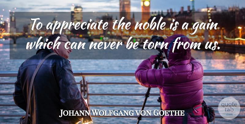 Johann Wolfgang von Goethe Quote About Appreciate, Literature, Gains: To Appreciate The Noble Is...