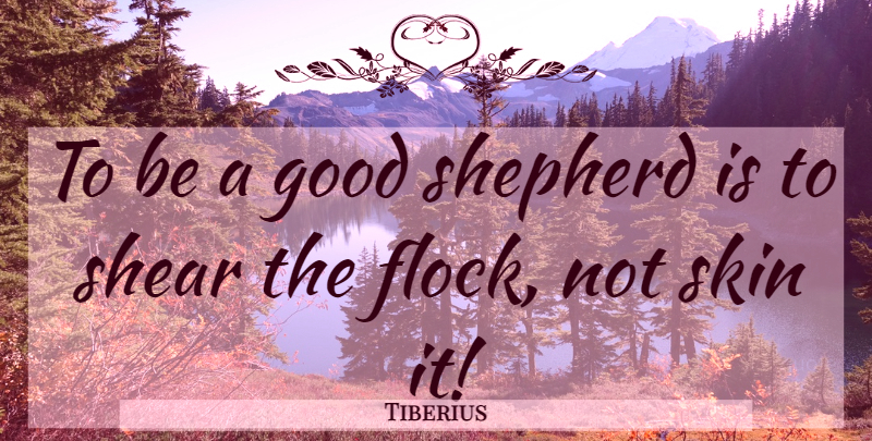 Tiberius Quote About Skins, Shepherds, Flocks: To Be A Good Shepherd...