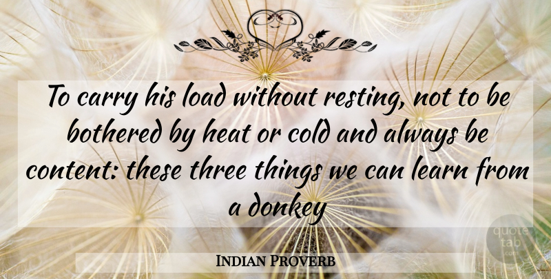Indian Proverb Quote About Bothered, Carry, Cold, Donkey, Heat: To Carry His Load Without...