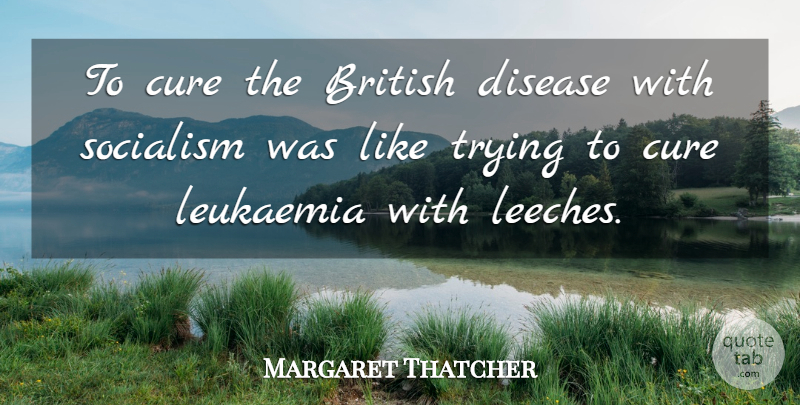 Margaret Thatcher Quote About Trying, Disease, Leeches: To Cure The British Disease...