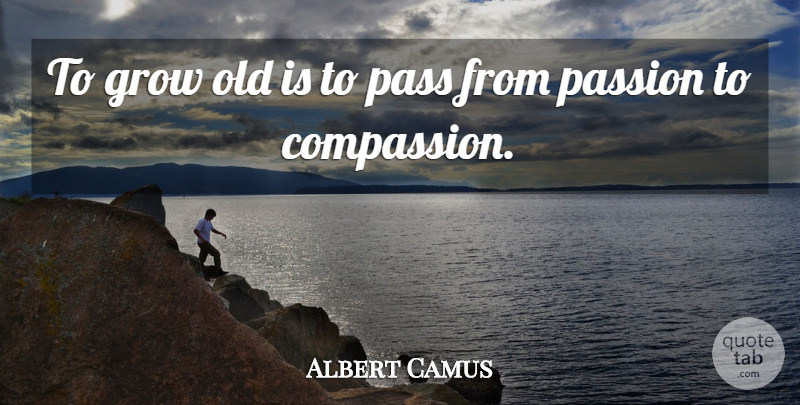 Albert Camus Quote About Passion, Compassion, Grows: To Grow Old Is To...