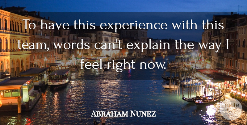 Abraham Nunez Quote About Experience, Explain, Words: To Have This Experience With...