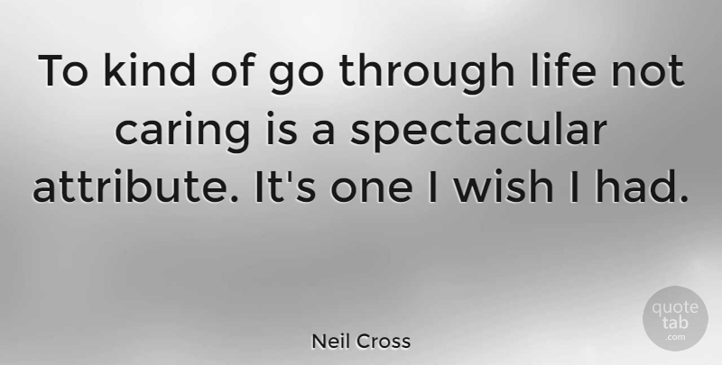 Neil Cross Quote About Caring, Life, Wish: To Kind Of Go Through...