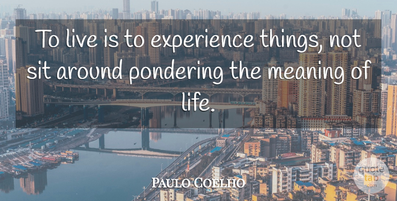 Paulo Coelho Quote About Life, Horse, Meaning Of Life: To Live Is To Experience...