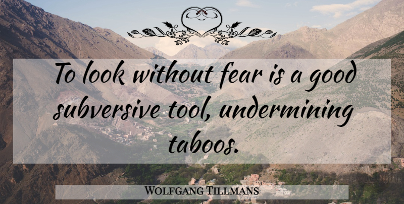 Wolfgang Tillmans Quote About Tools, Looks, Taboo: To Look Without Fear Is...
