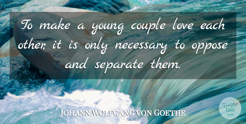 Johann Wolfgang von Goethe Quote About Couple, Young, Love Each Other: To Make A Young Couple...