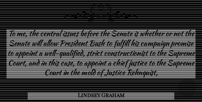 Lindsey Graham Quote About Allow, Bush, Campaign, Central, Chief: To Me The Central Issues...