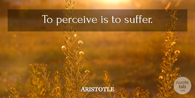 Aristotle Quote About Life, Depression, Education: To Perceive Is To Suffer...