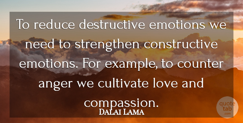 Dalai Lama Quote About Compassion, Needs, Example: To Reduce Destructive Emotions We...